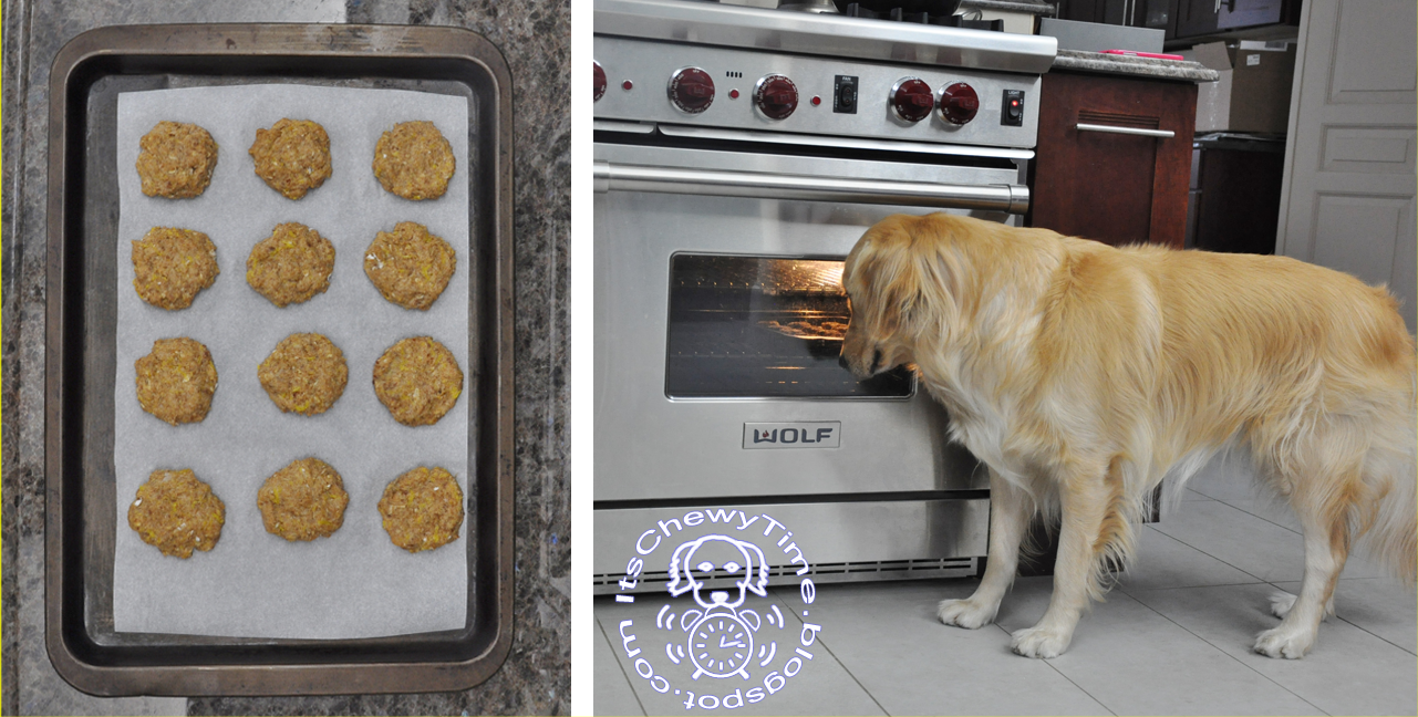 It's Chewy Time! Tasty Tuesday Pumpkin Applesauce Dog Treats