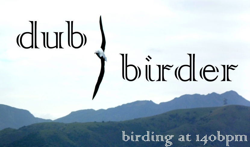 dub-birder