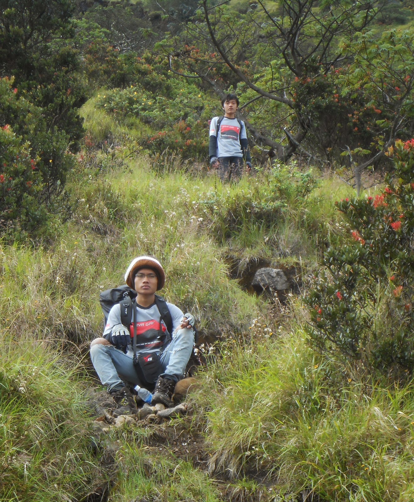 Jaya Giri' (salam alam Indonesia): Gunung Sumbing (Pendakian Jalur ...