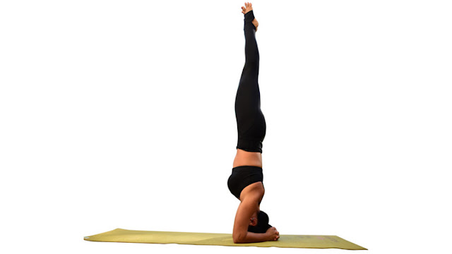 Để giải quyết vấn đề về lưu thông máu 4 động tác này trong Yoga sẽ giúp bạn