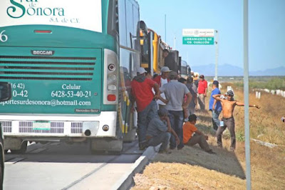 Cruzan migrantes Sonora y van a BC