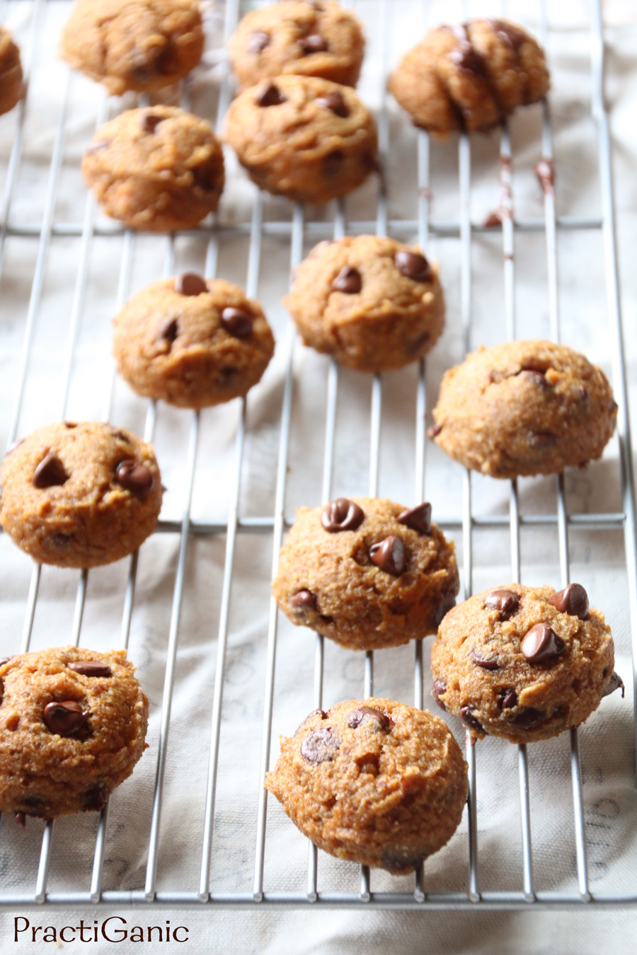 Healthy Chewy Pumpkin Chocolate Chip Cookies PractiGanic Vegetarian