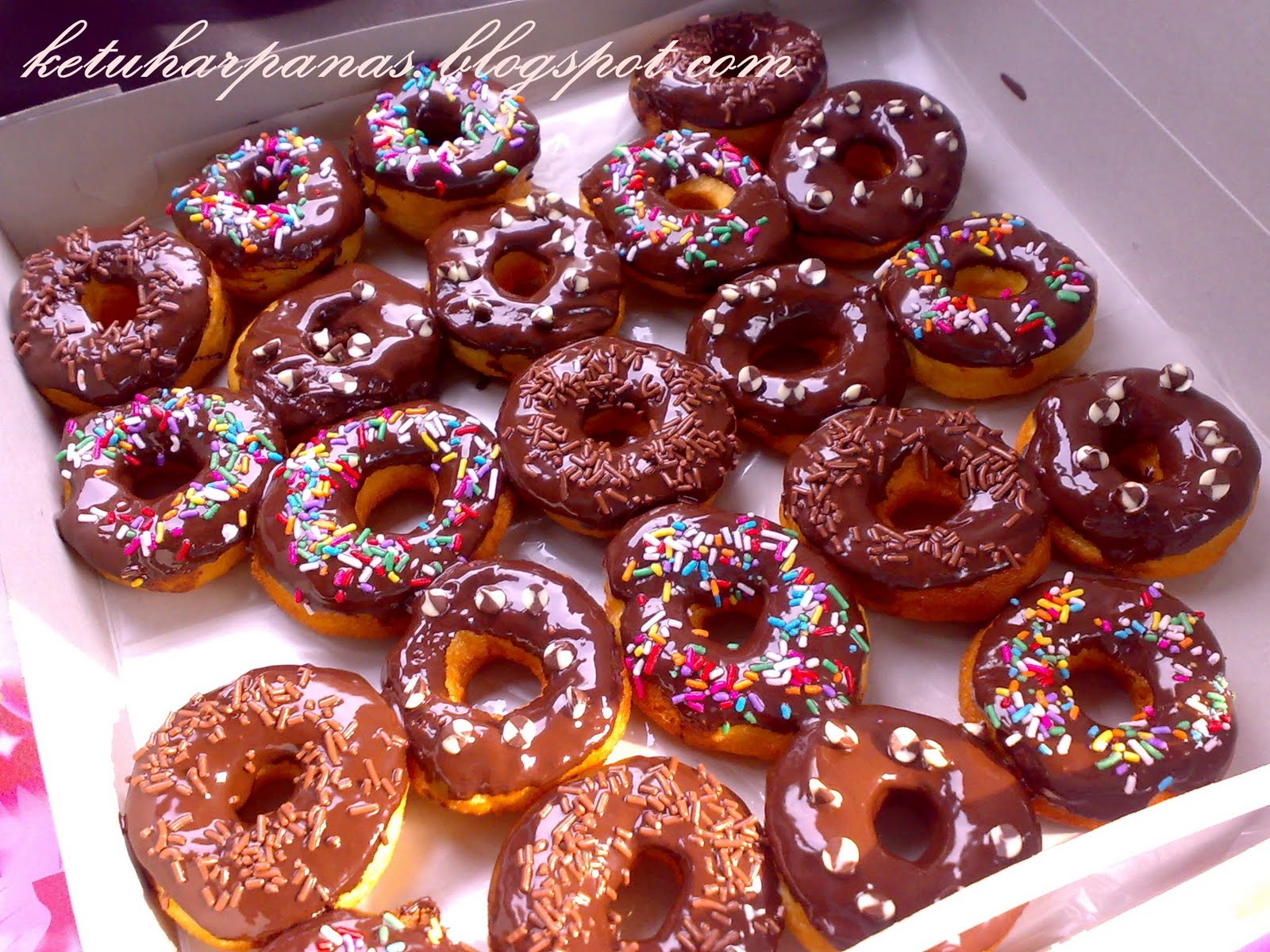 Tengah Masak Apa Tu ??? D Donat Sedap!