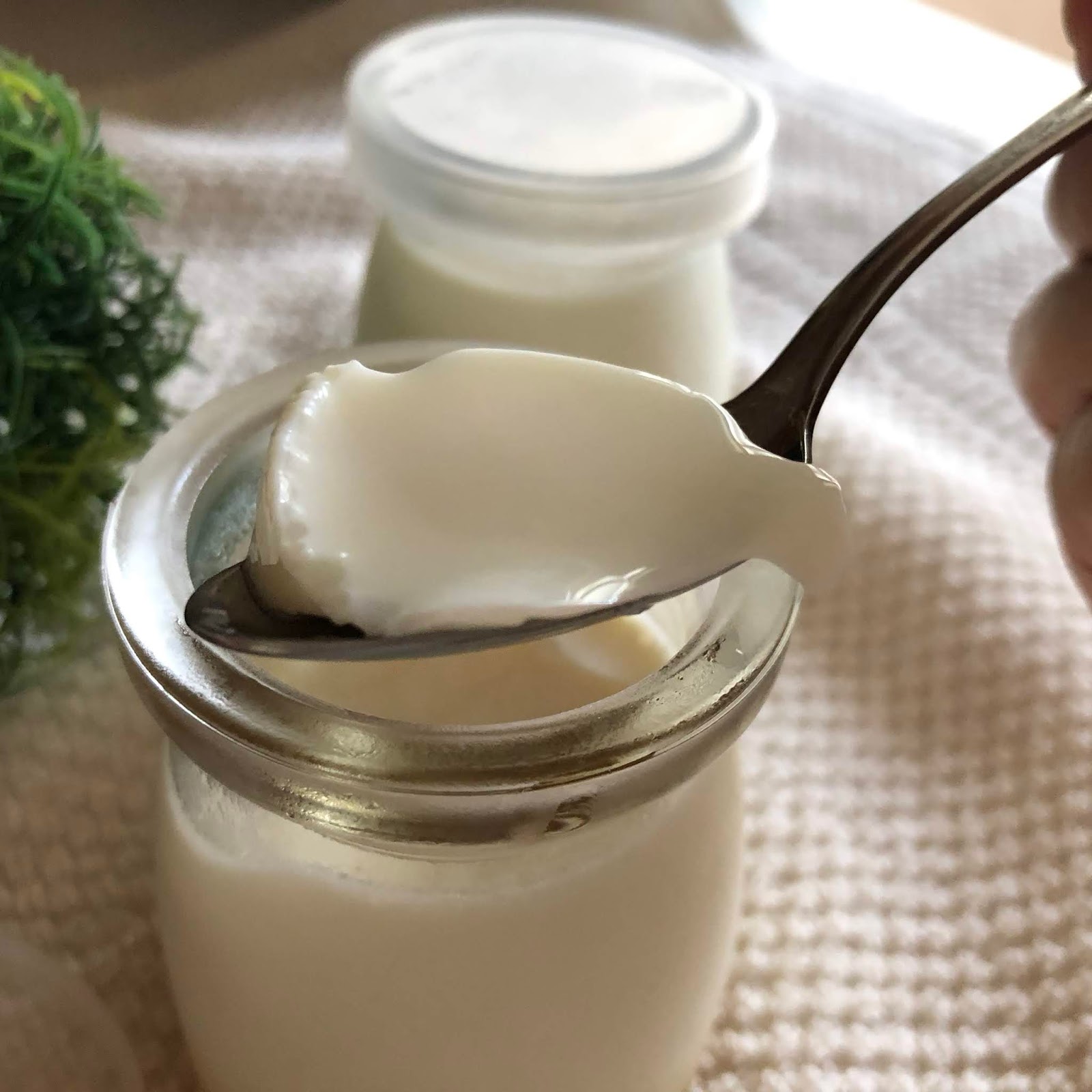 My Mind Patch Caramel Milk Pudding (using Agar Agar)