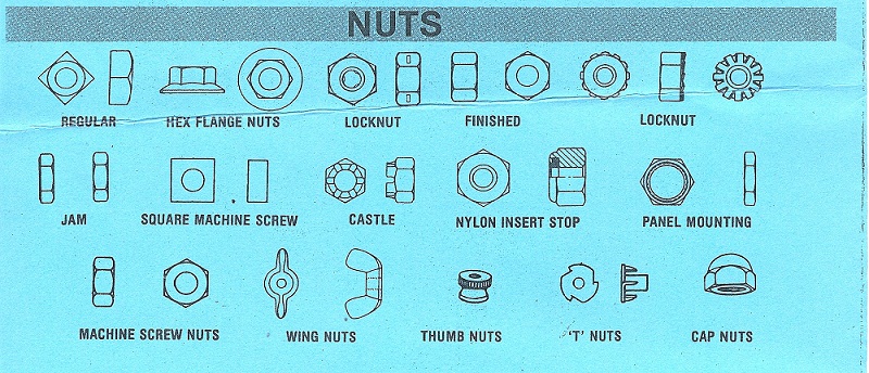 Как переводится nut. Type of nut. Screw Nuts Types. All Types of рук Nuts. Nut Type: mio.