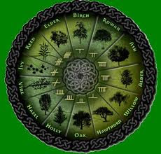 druid horoscope definition