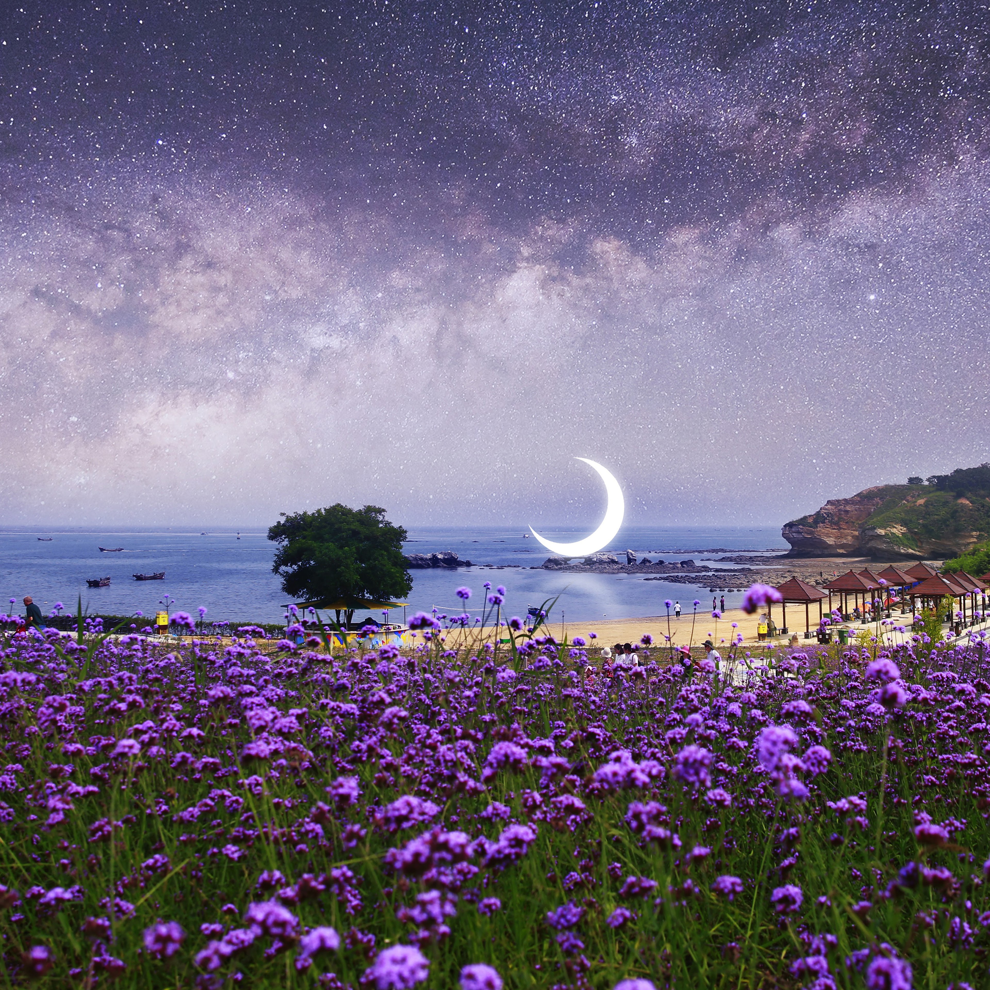 Какие бывают ночи летом. Красивая летняя ночь. Фиолетовая ночь. Ночное небо. Лето ночь Луна.