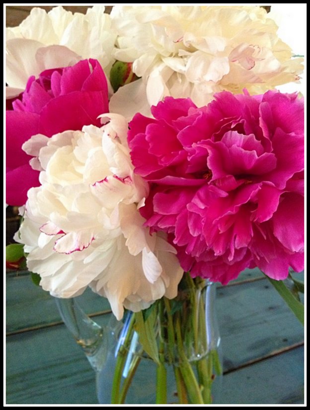 Content in a Cottage Peonies are Great Flowers for Cutting