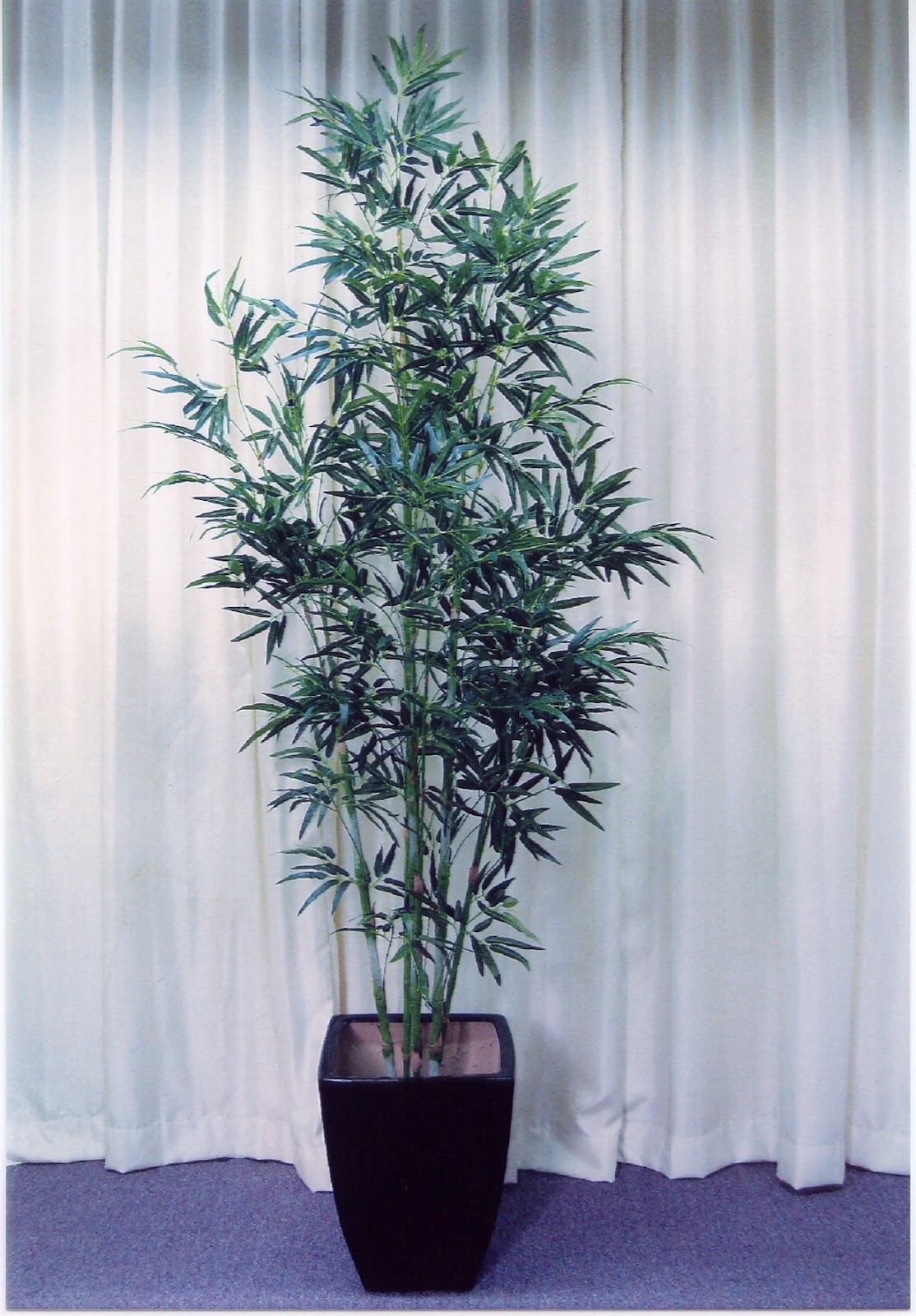 Hoi Kee Flower Shop 8ft Plastic Bamboo
