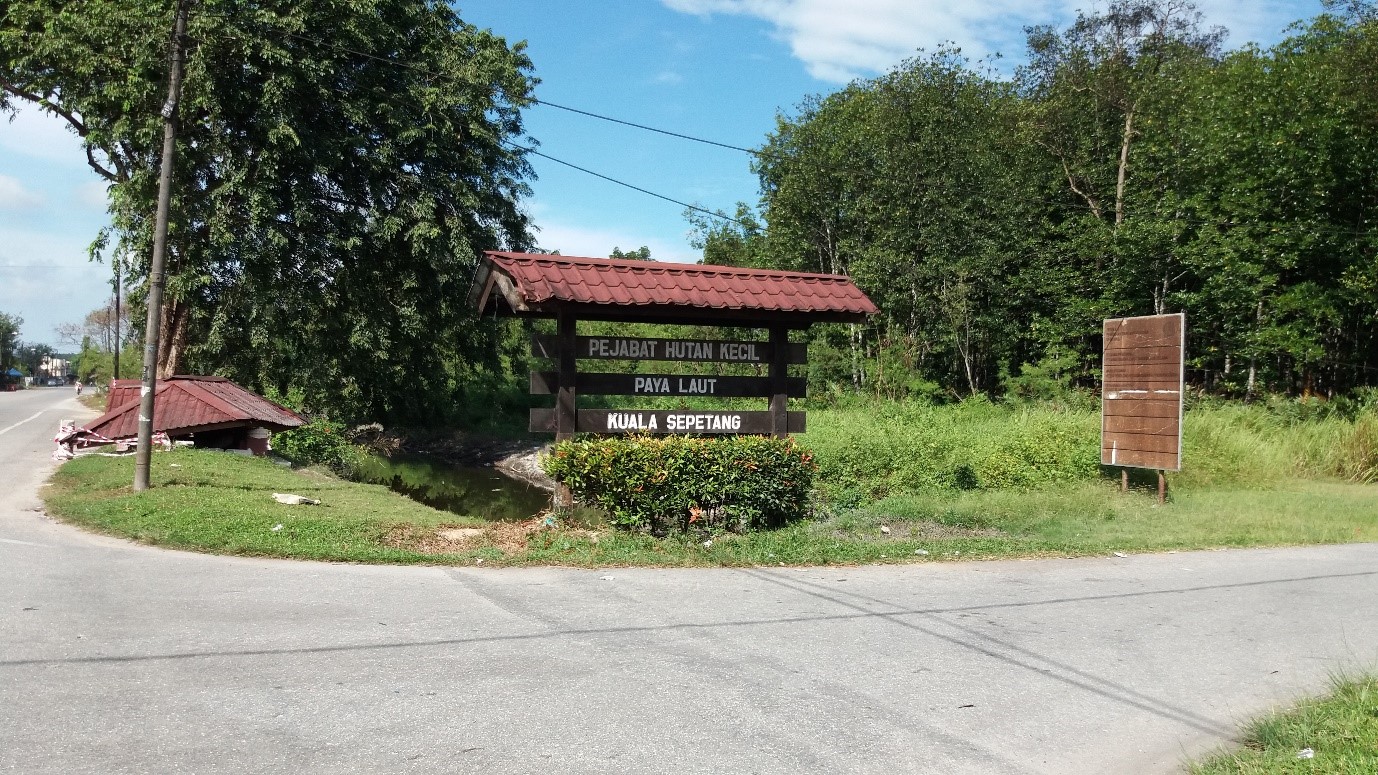 Mohd Faiz Bin Abdul Manan Hutan Paya Laut Matang