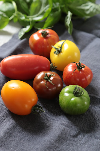tomates multicolores