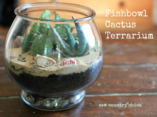 terrarium garden cactus