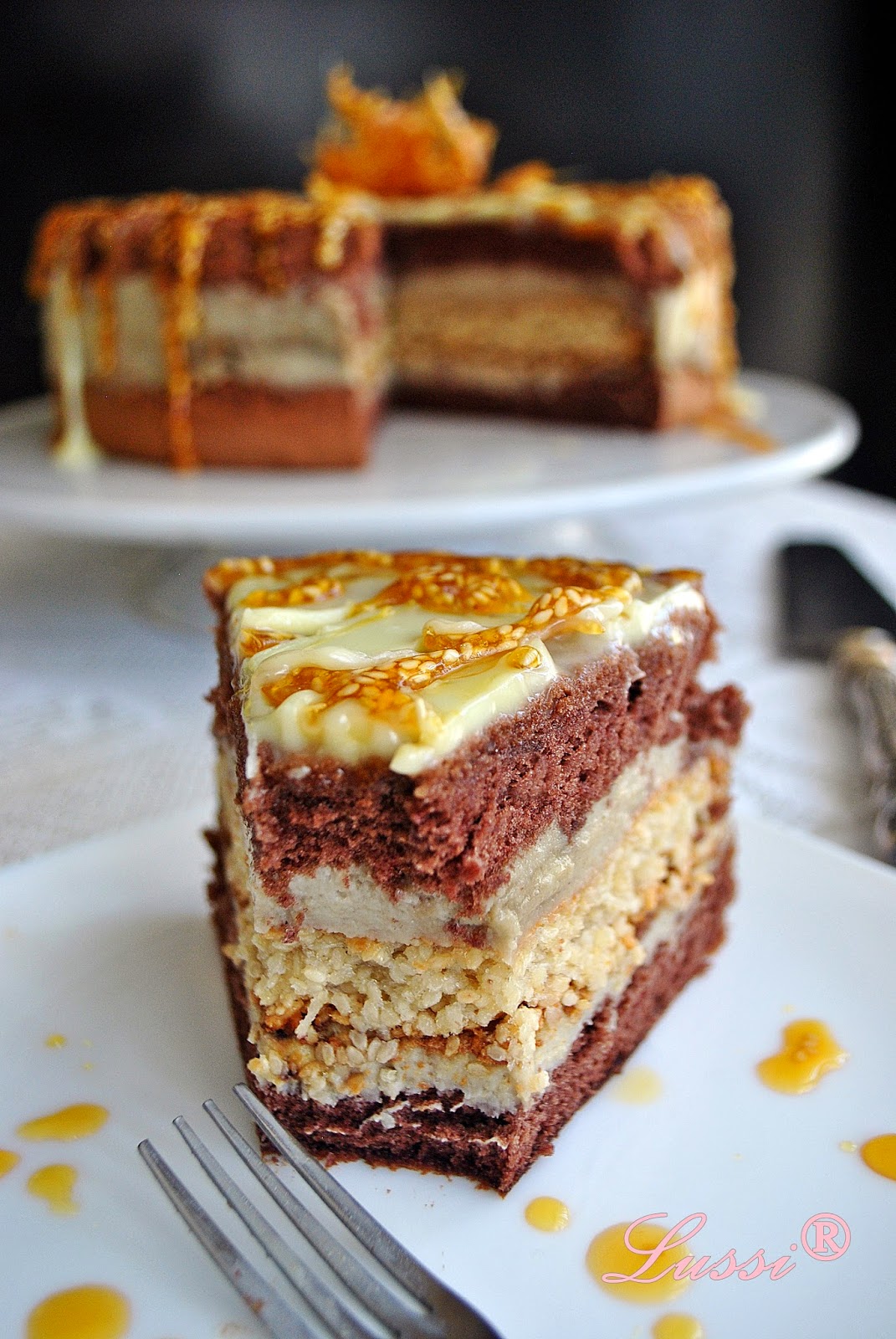 Lussi`s World of Artcraft Една поразлична торта Торта с халва