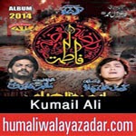 http://www.humaliwalayazadar.com/2014/10/kumail-ali-nohay-2015.html
