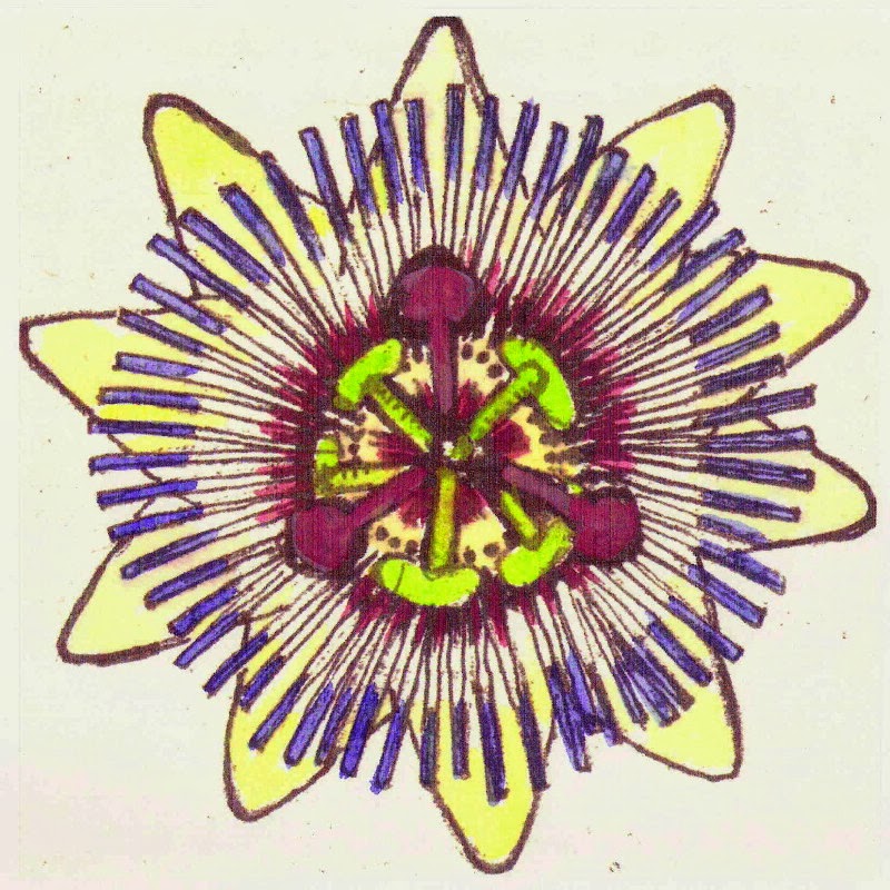 Passion Flower Studio Commissions