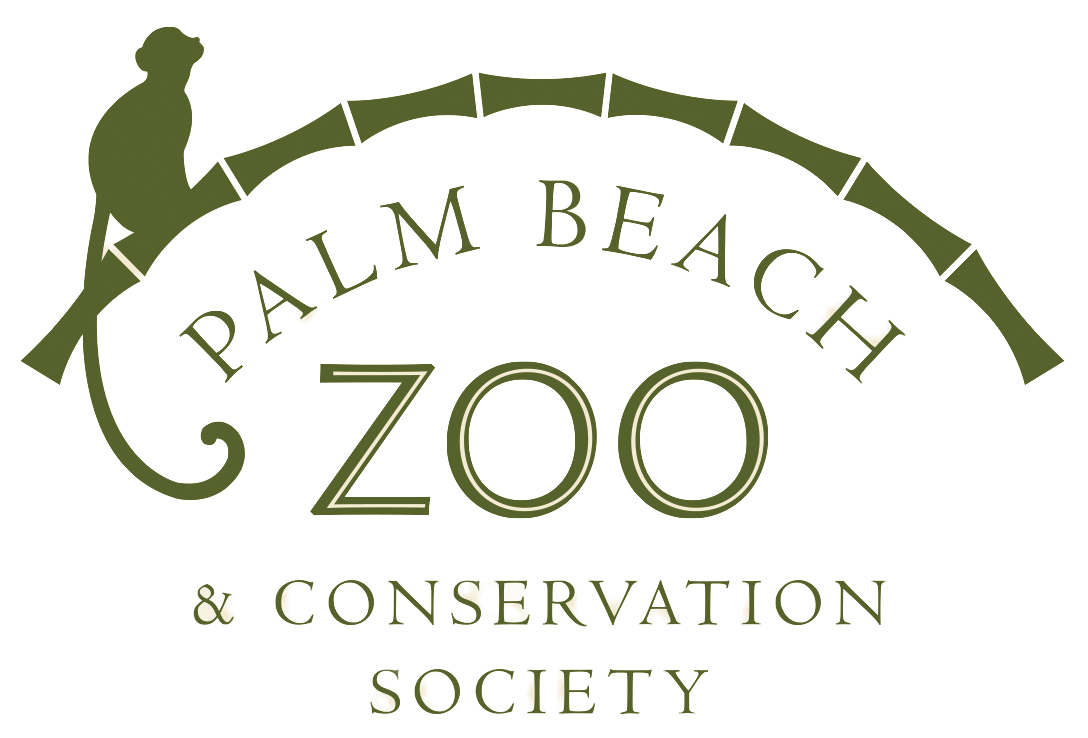 Zoo Jobs President Chief Executive Officer Palm Beach Zoo zoo-jobs-president-chief-executive-officer-palm-beach-zoo