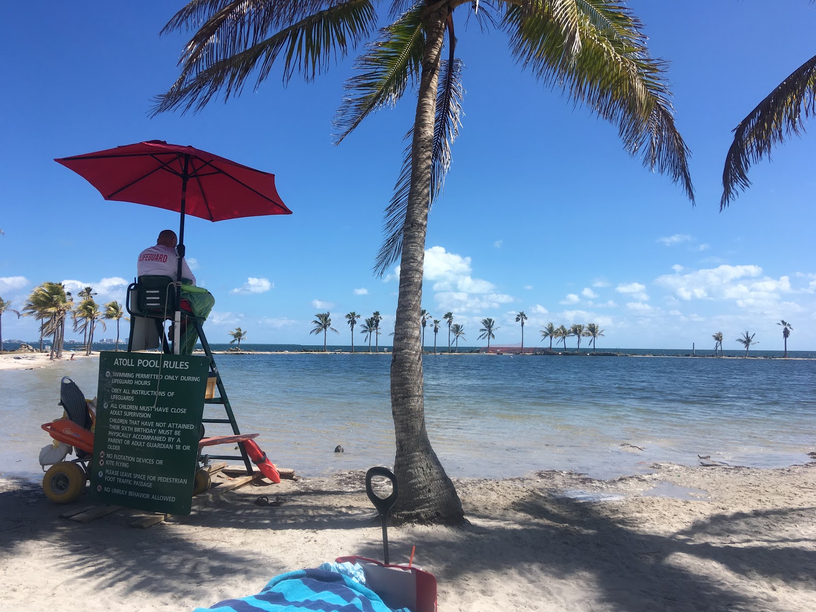 Matheson Hammock Park, Coral Gables Florida Storybook Erin