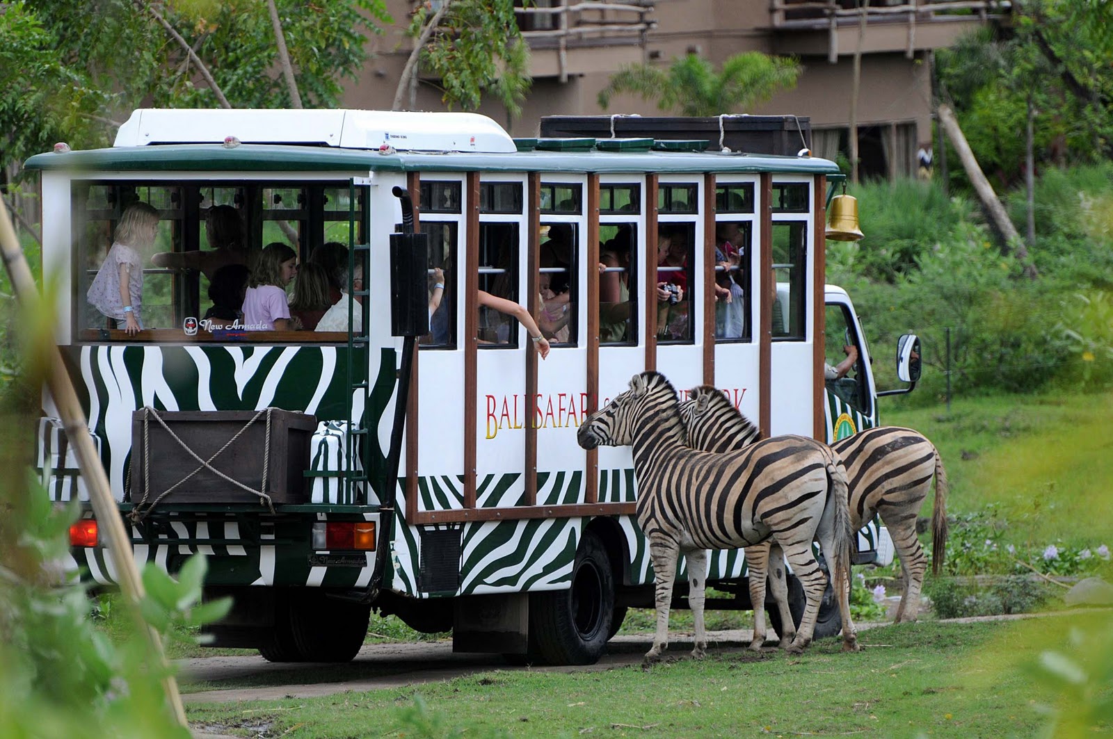 taman safari indonesia info terbaru
