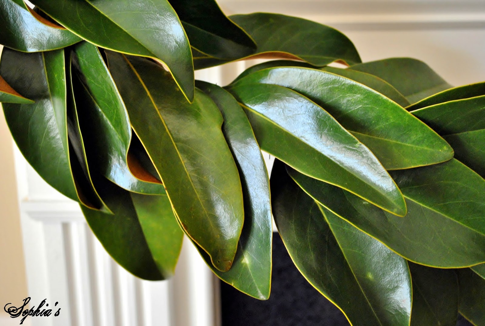 Sophia's How to Make a Garland with Magnolia Leaves