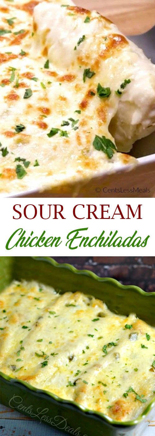 Delicious Sour Cream Chicken Enchiladas