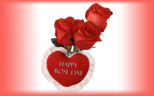 Rose Day Status In Hindi