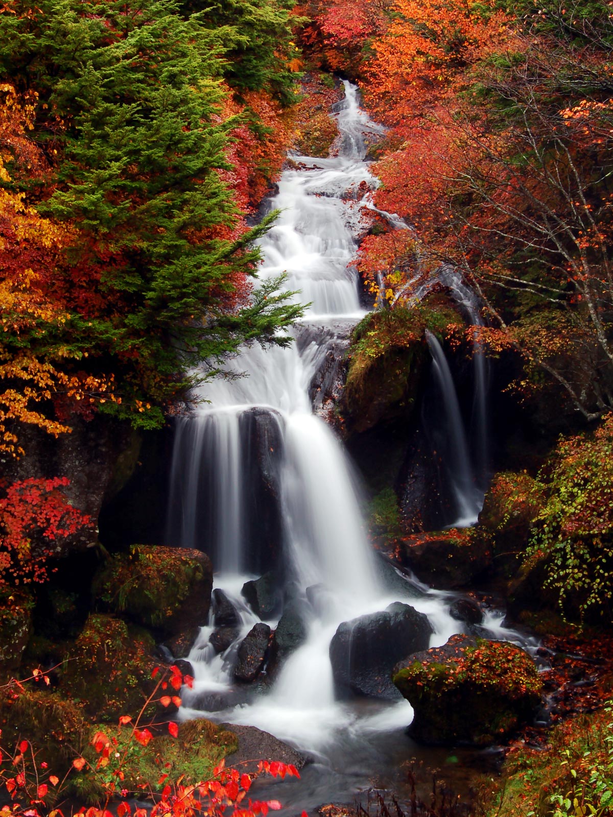 Формат вертикального фото. Манзара водопад. Осенний водопад. Природа вертикальные. Водопад осень.