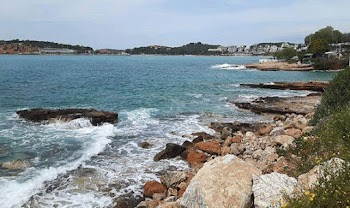 ενιαία dating ντίβα Οττάβα