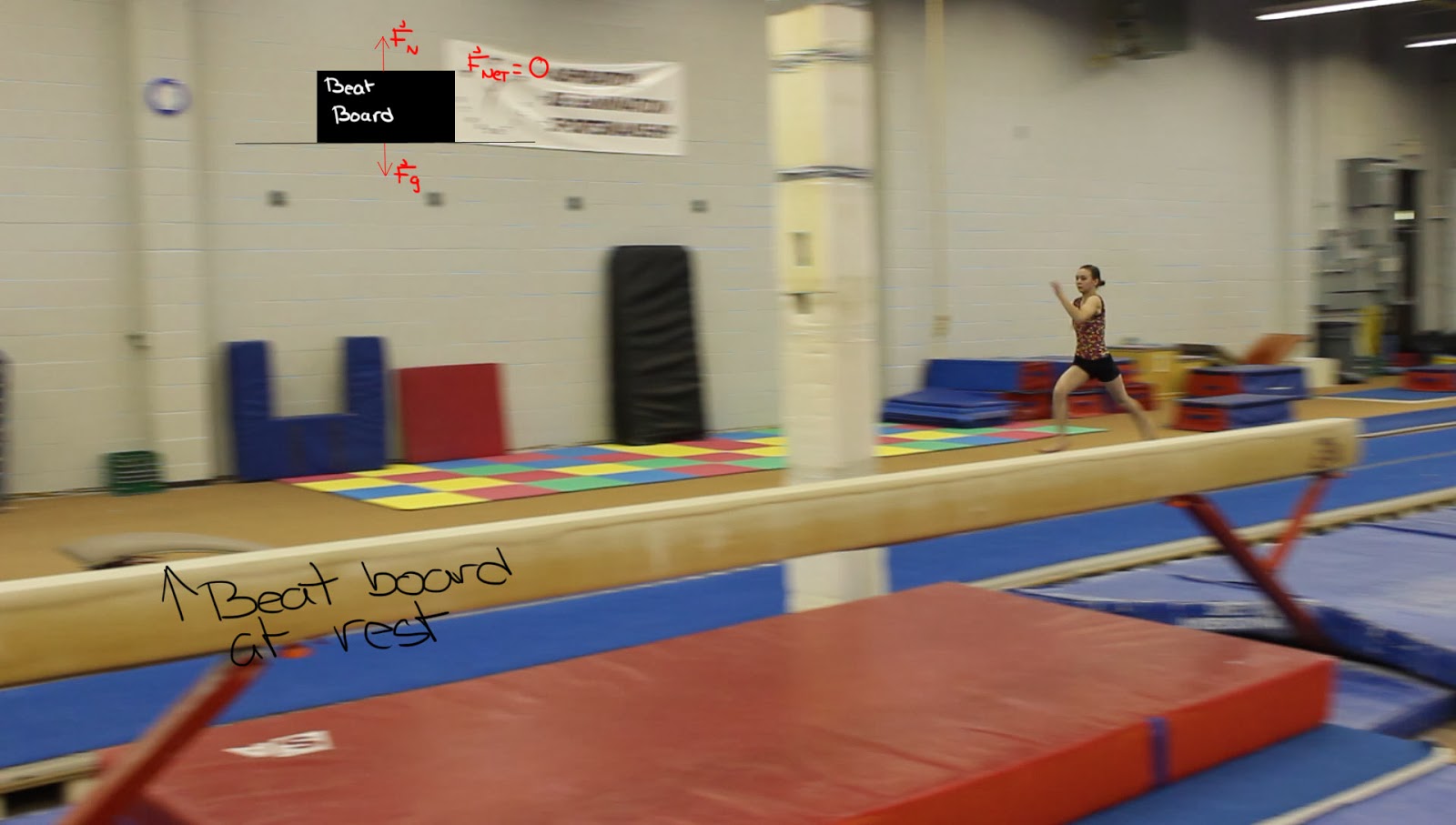 The Physics of the Gymnastics Vault Newton's Laws of Motion Explained