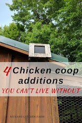 chicken coop additions without coops chickens muranochickenfarm building