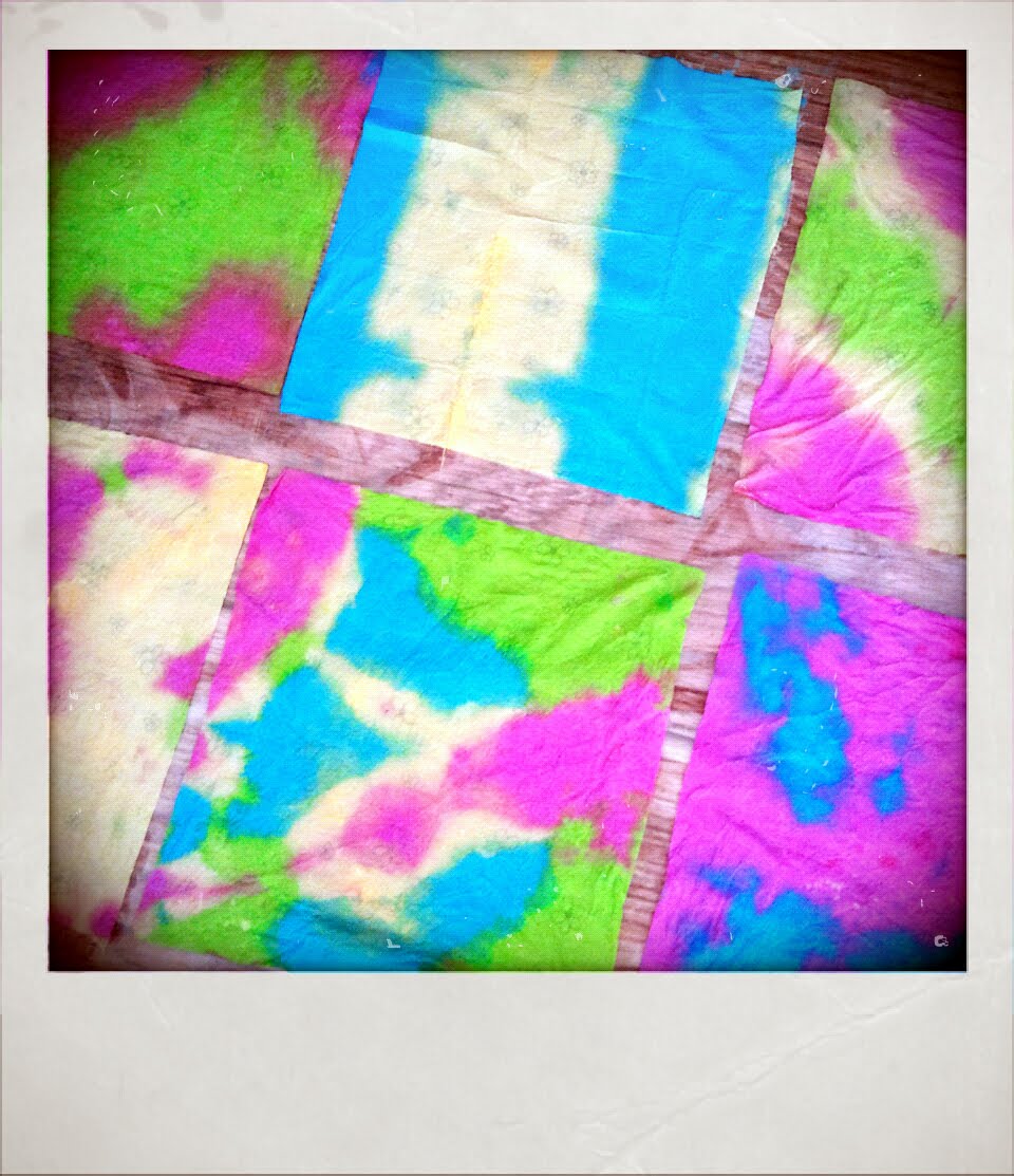 Caatje's Artsy Stuff Stolen Ideas Project 1 Dyeing paper and fabric