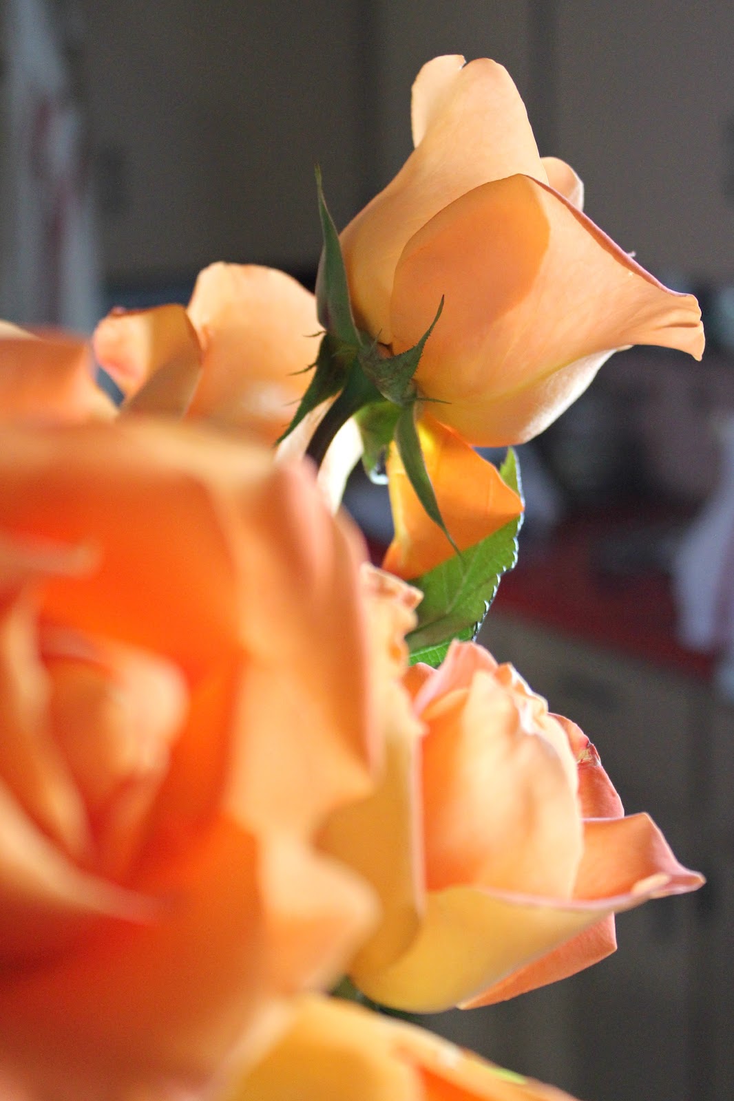 Can't Go Wrong with Roses Rusty Hinge