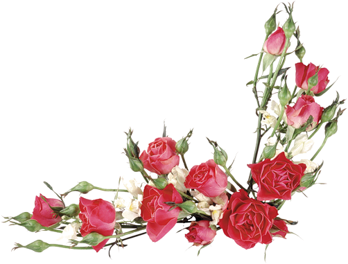 AMARNA IMAGENS: IMAGENS EM PNG DE BUQUÊS E CESTAS DE FLORES - Parte 2