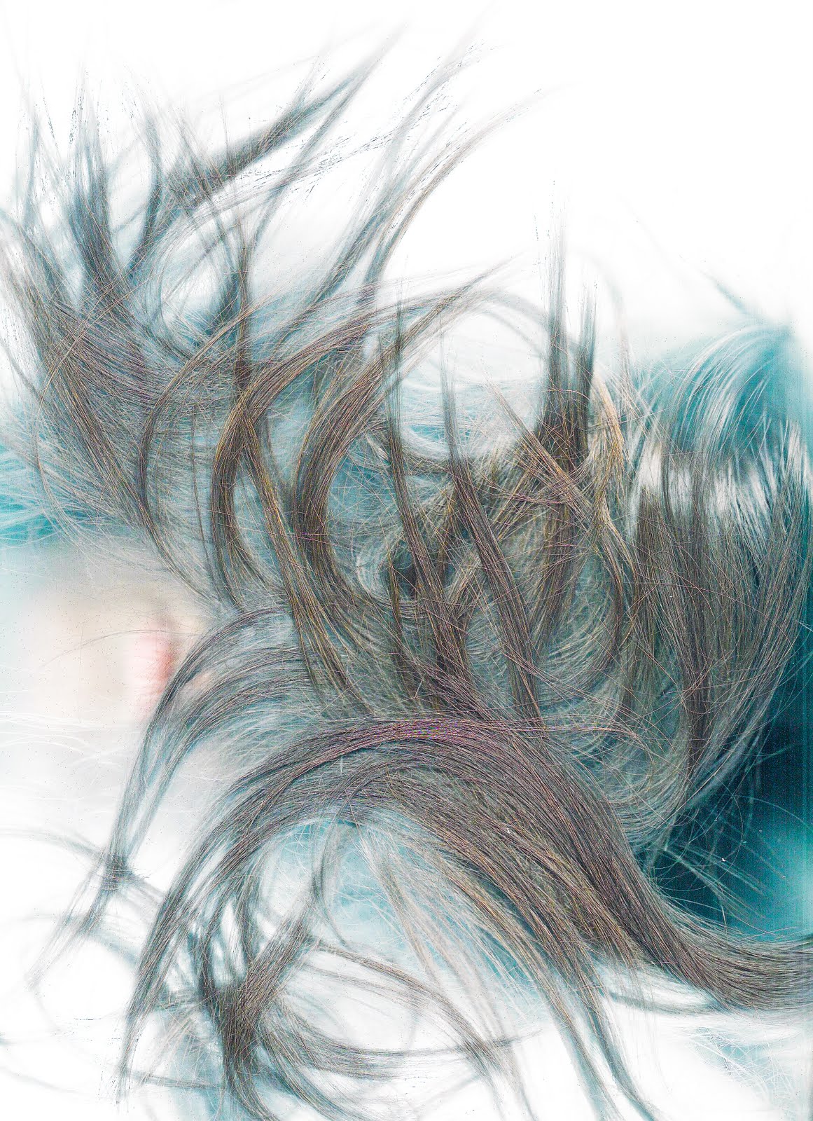 Creative Projects Cameraless Photography