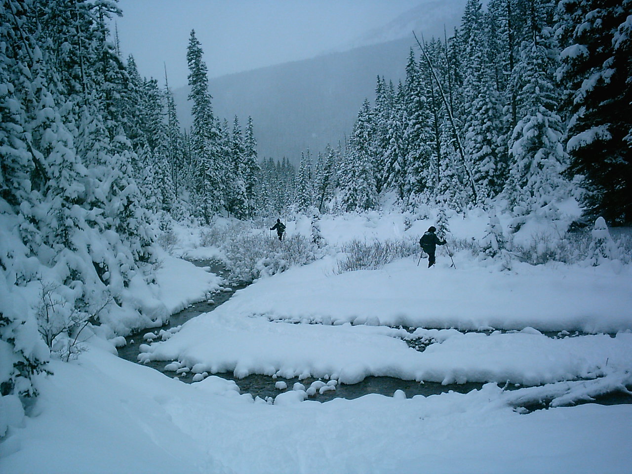 Out There With Tom West Fork Cabin Magic
