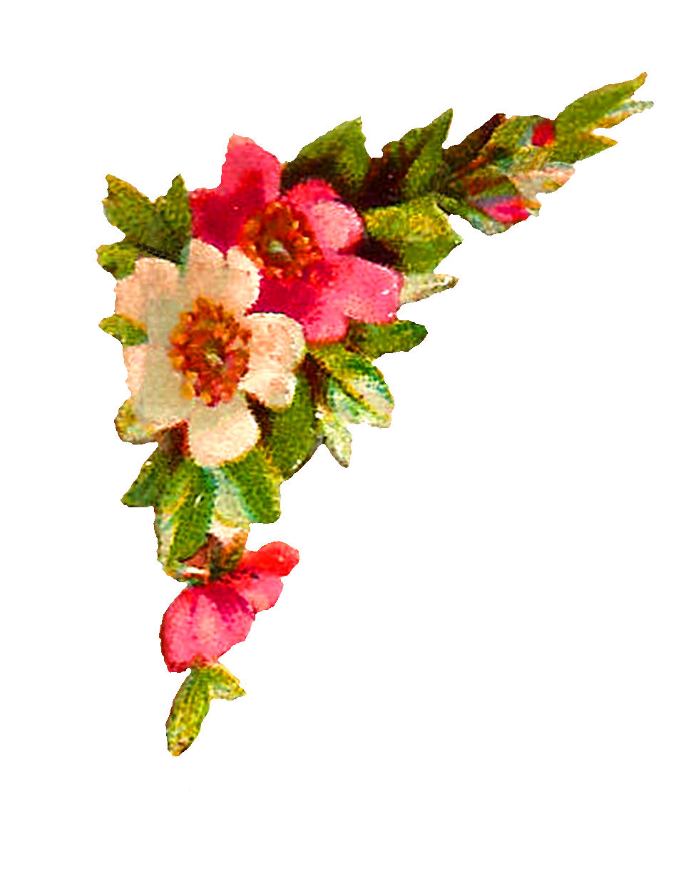 free clip art flower designs - photo #34