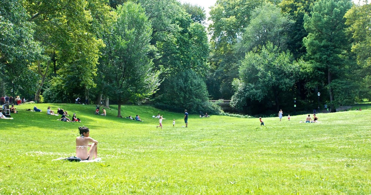 nycdiarist: central park in summer