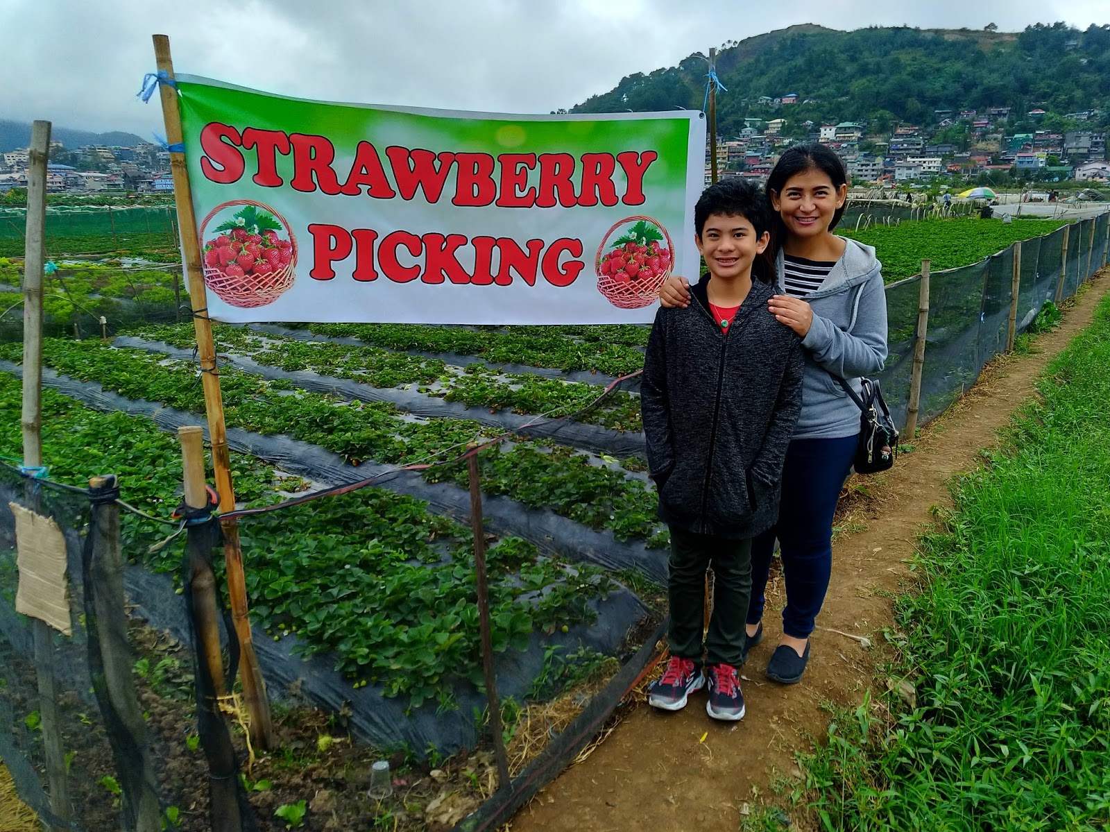 Strawberry Farm in Baguio