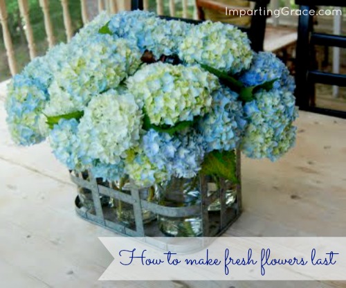 I Absolutely Love This Arrangements Simple But Breathtaking