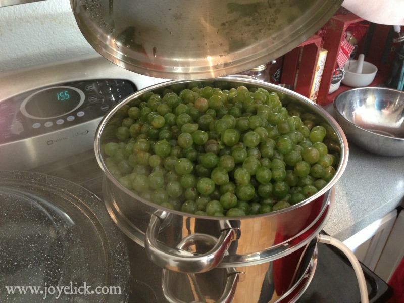 How to Make and Can Grape Juice (with a Steam Juicer) - The Seasonal  Homestead