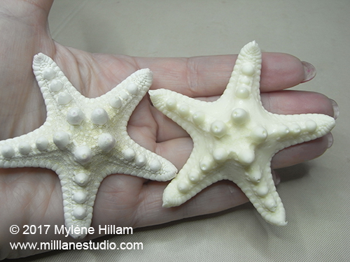 Comparing the original starfish with the resin starfish.