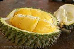 Nutrisi dan Manfaat Durian