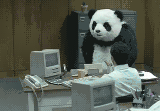 panda suit