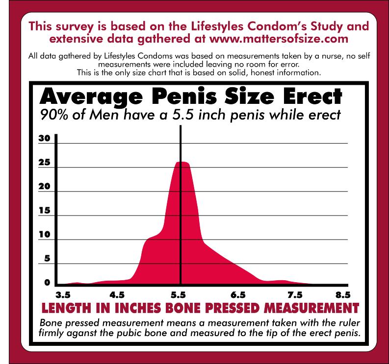 Penis size is a subject of women’s magazines and men’s health forums. 