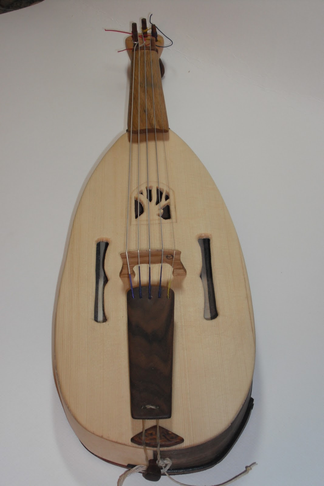 Five stringed instrument scanlopez