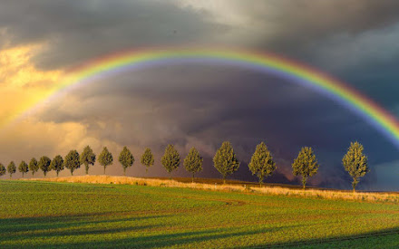 Never lose hope for after the rain comes a rainbow.