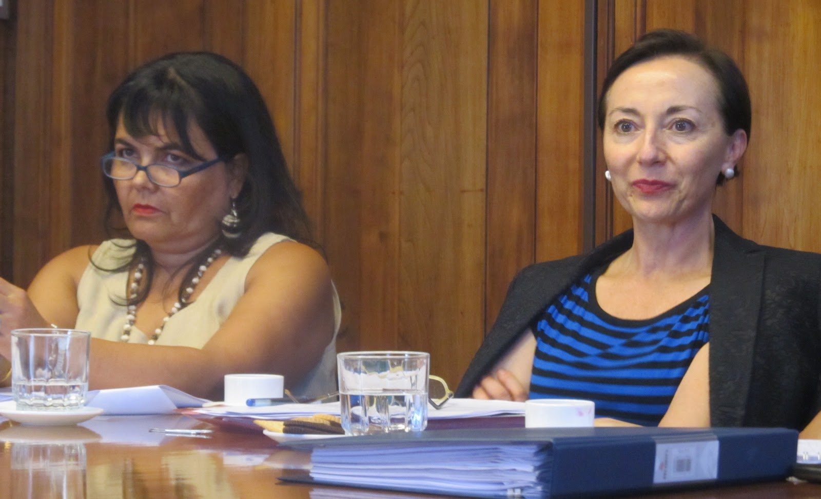 Seremi Justicia Santiago: March 2013