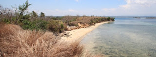 Tanah tepi pantai dijual Pantai pink telone