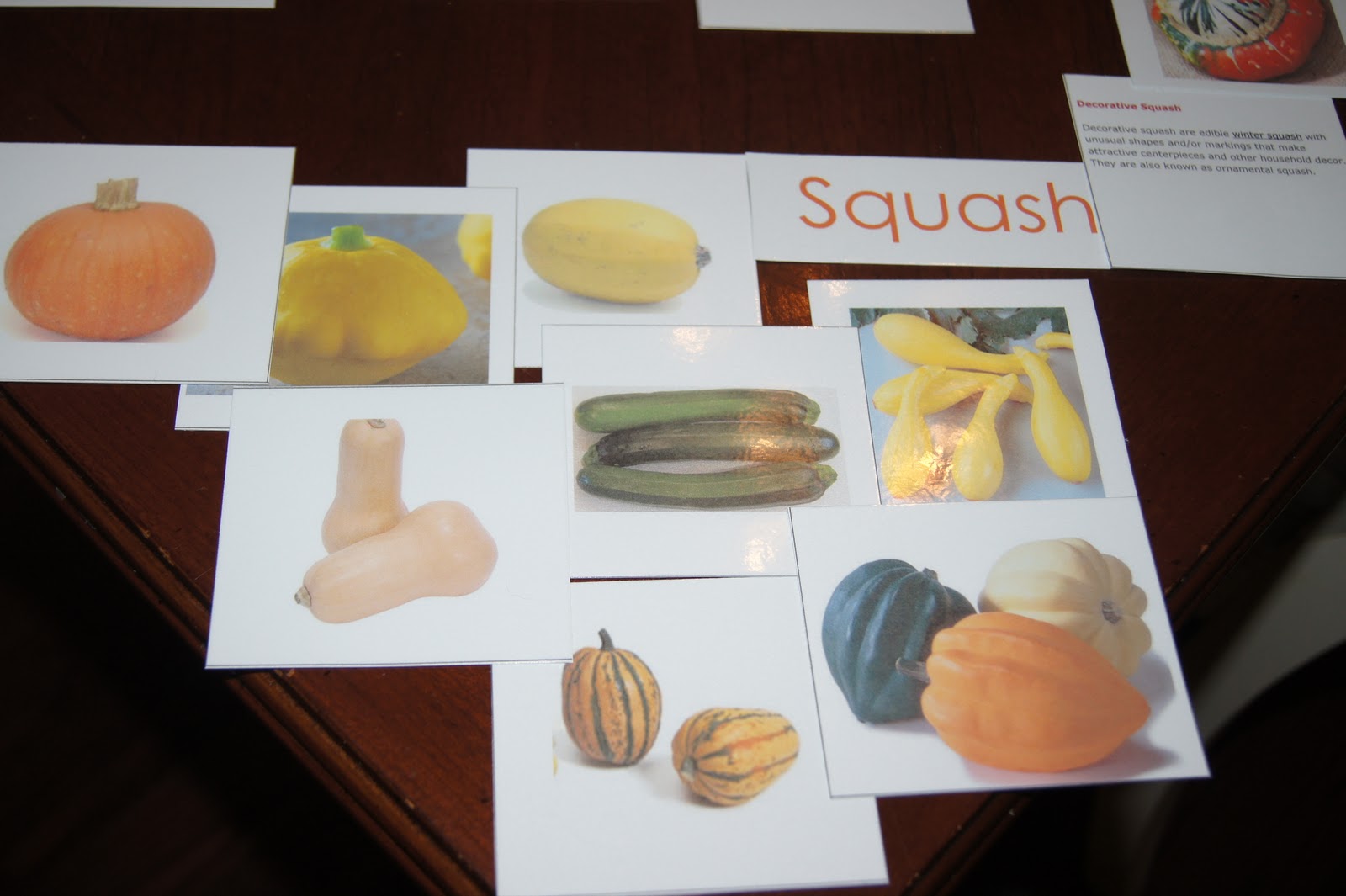Pumpkin, Squash & Gourds, In The Garden At Home, Sorting ...