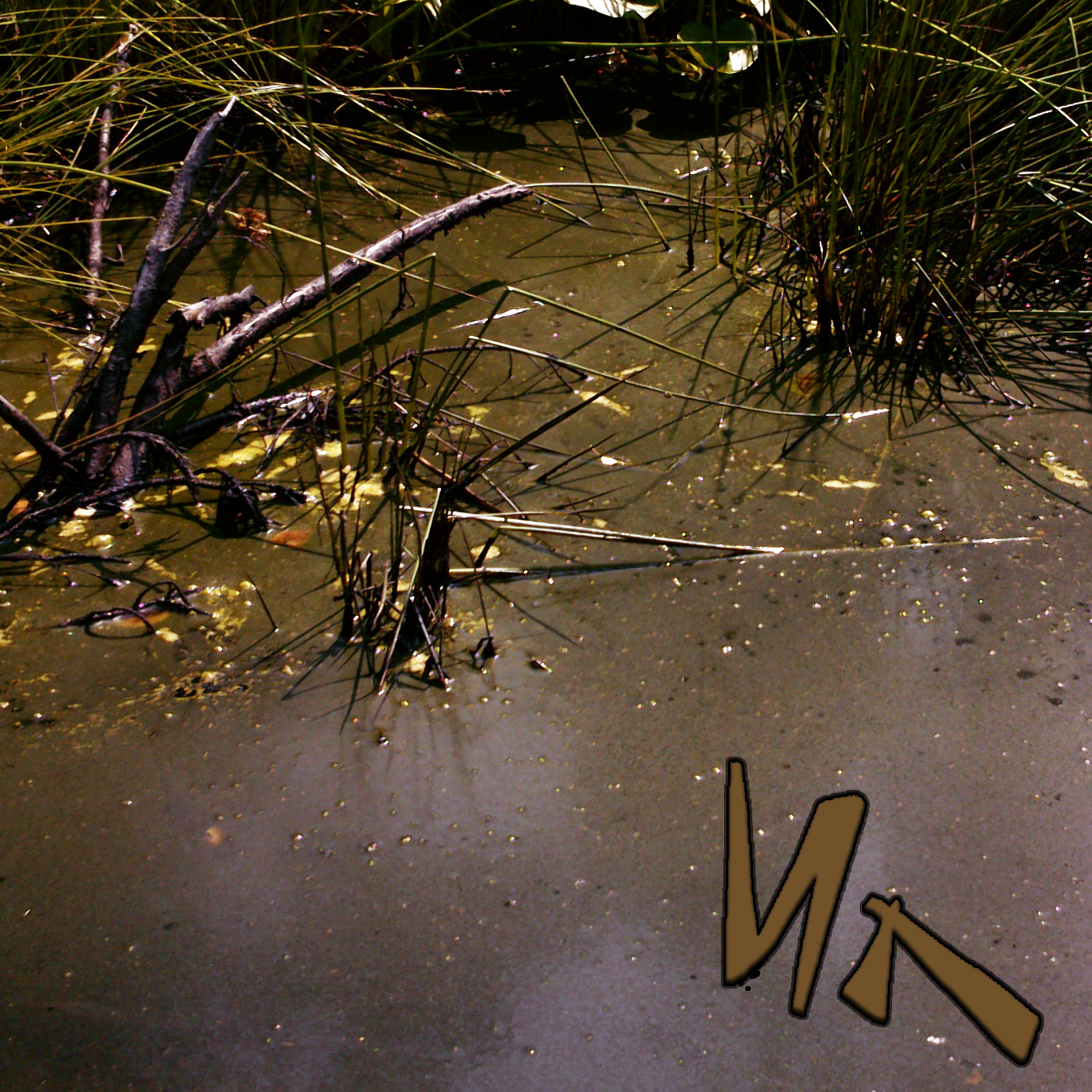 донные отложения сапропель. музыка ила ила. илья леутин режиссер. слушать музыку стреляй. музыка ила ила.