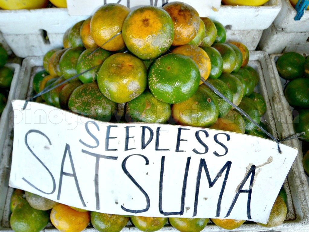 Nueva Vizcaya The Citrus Capital of the Philippines Blogs, Travel